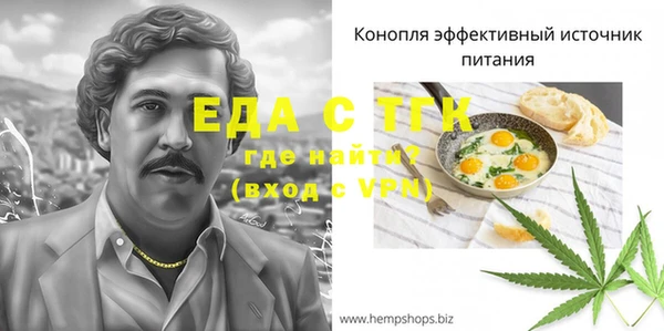 ГАЛЛЮЦИНОГЕННЫЕ ГРИБЫ Михайлов