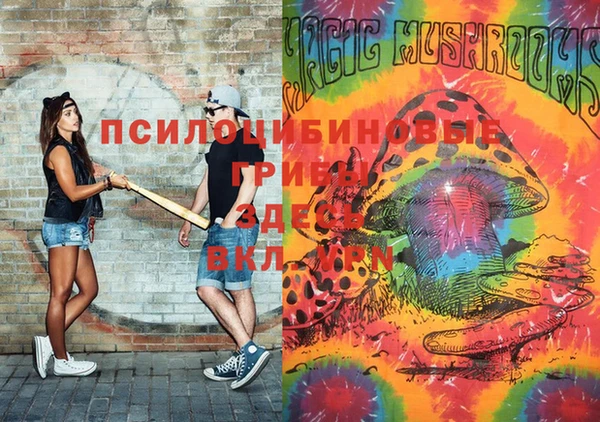 Альфа ПВП Медвежьегорск