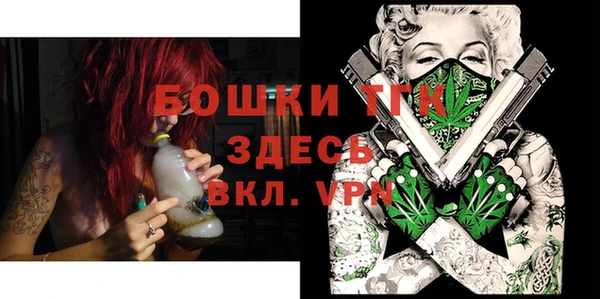 ГАЛЛЮЦИНОГЕННЫЕ ГРИБЫ Михайлов