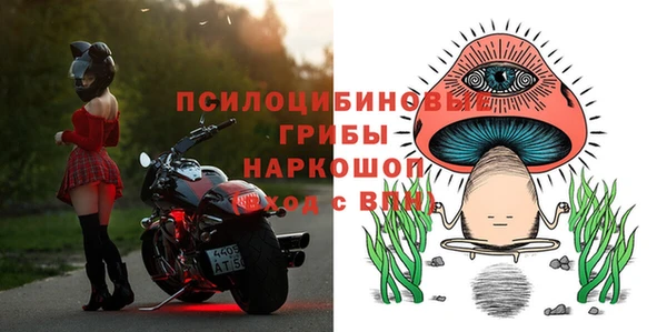 Альфа ПВП Медвежьегорск