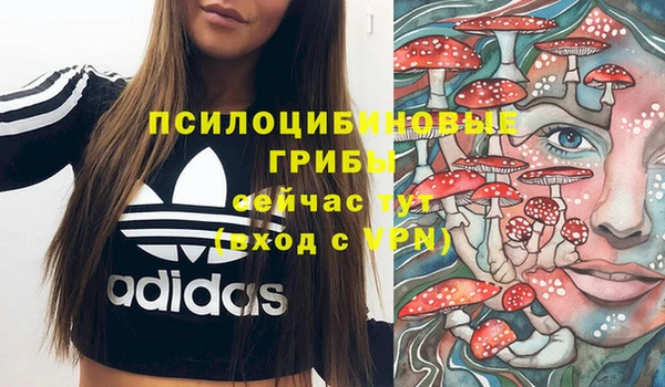 ГАЛЛЮЦИНОГЕННЫЕ ГРИБЫ Михайлов