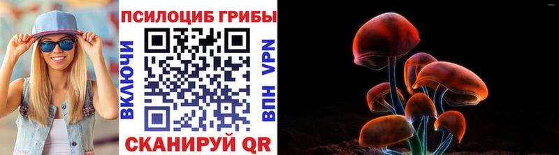 Псилоцибиновые грибы MAGIC MUSHROOMS  даркнет телеграм  Волжский 