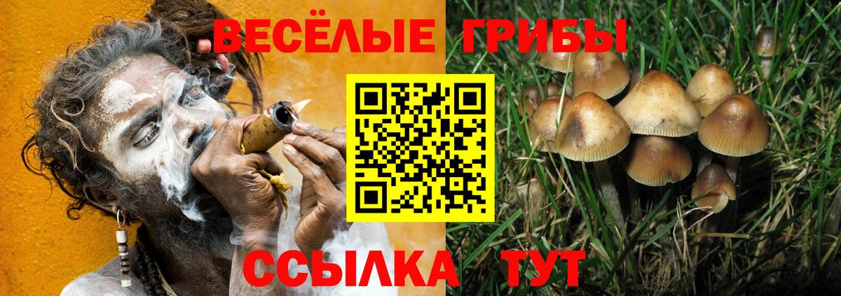 Галлюциногенные грибы Psilocybine cubensis  Галлюциногенные грибы Psilocybine cubensis  Волжский 