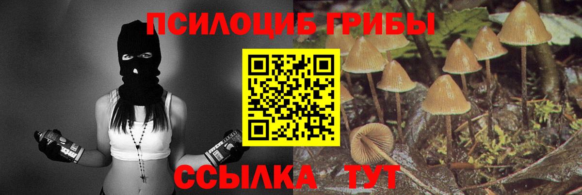 Галлюциногенные грибы мицелий  Вход с VPN  Волжский  купить закладку  Псилоцибиновые грибы Psilocybe 